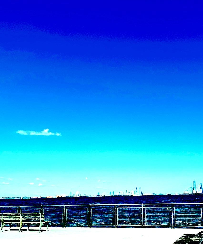 a color-shifted photo of the city skyline as seen from Veteran's Pier in Bay Ridge, with lots of sky and thin strip of water with the words "The future...." in the middle of the frame